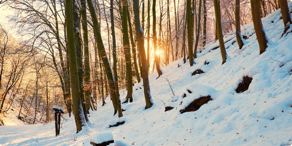 Quel couchage choisir pour un camping en hiver ?