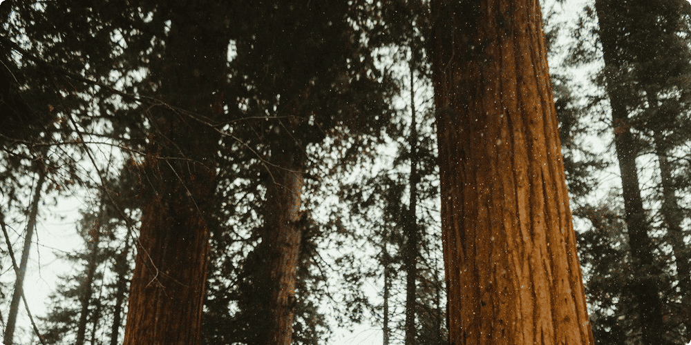Les raisons d'opter pour un sac de couchage en duvet
