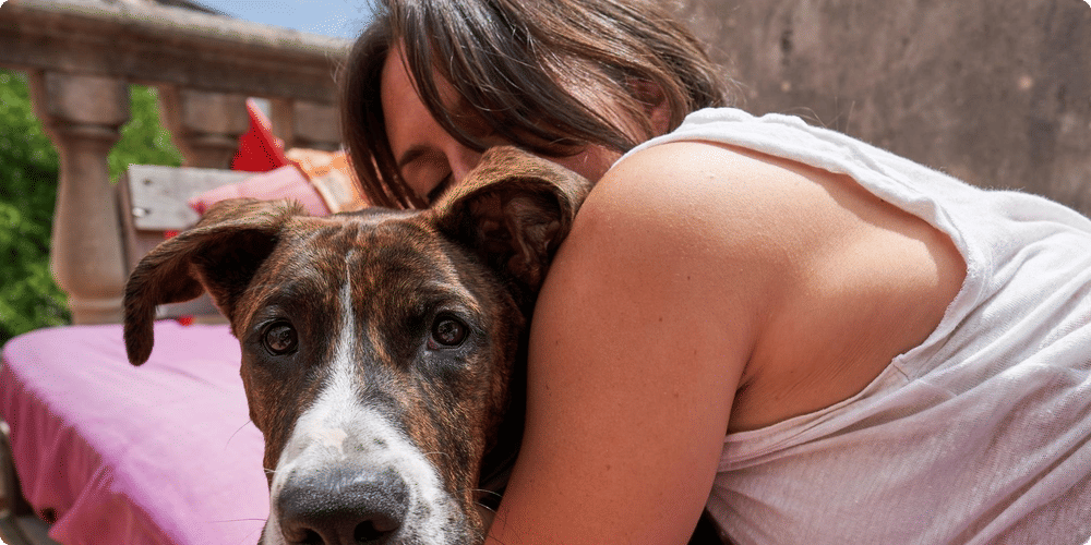 Pourquoi opter pour un lit de camp ?